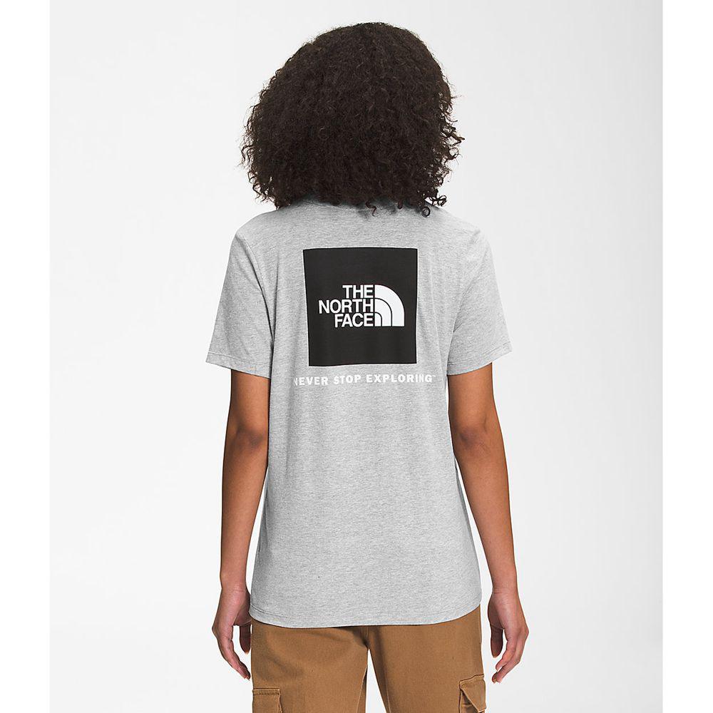 The North Face Κοντό Μανίκι Box Nse Γυναικεια T Shirt - Ανοιχτο Γκρι (RYSH94371)